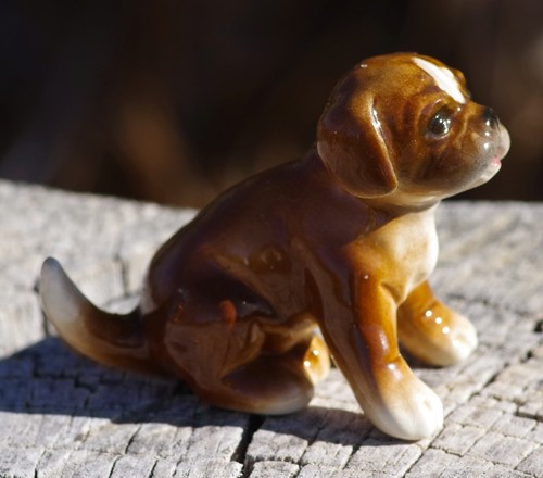 Vintage goebel boxer dog puppy - vintage,
