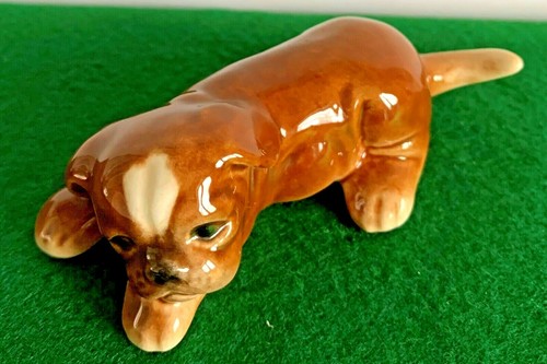 Goebel dog boxer - boxer, puppy