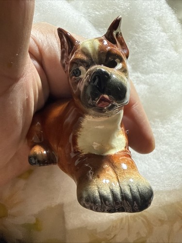 Boxer dog goebel germany - dog,
