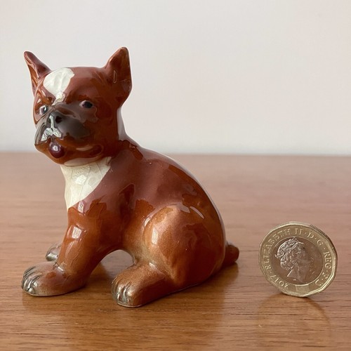 Goebel boxer dog seated - goebel,