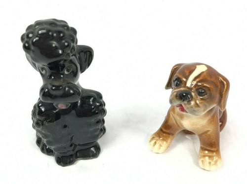 Goebel dogs poodle boxer puppy - poodle,
