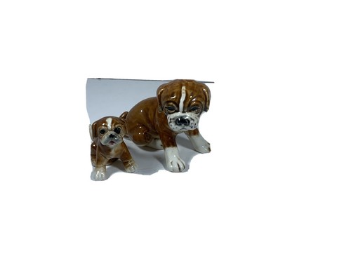 Three boxer dog puppies - three,